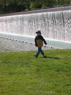 Bellevue City Park Waterfall