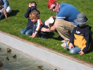 Ducks in Bellevue City Park