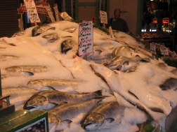 Fish at Pike Place Market
