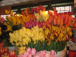 You can buy all sorts of flowers at Pike Place You can buy all sorts of flowers at Pike Place