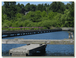 Log Boom Park in Kenmore